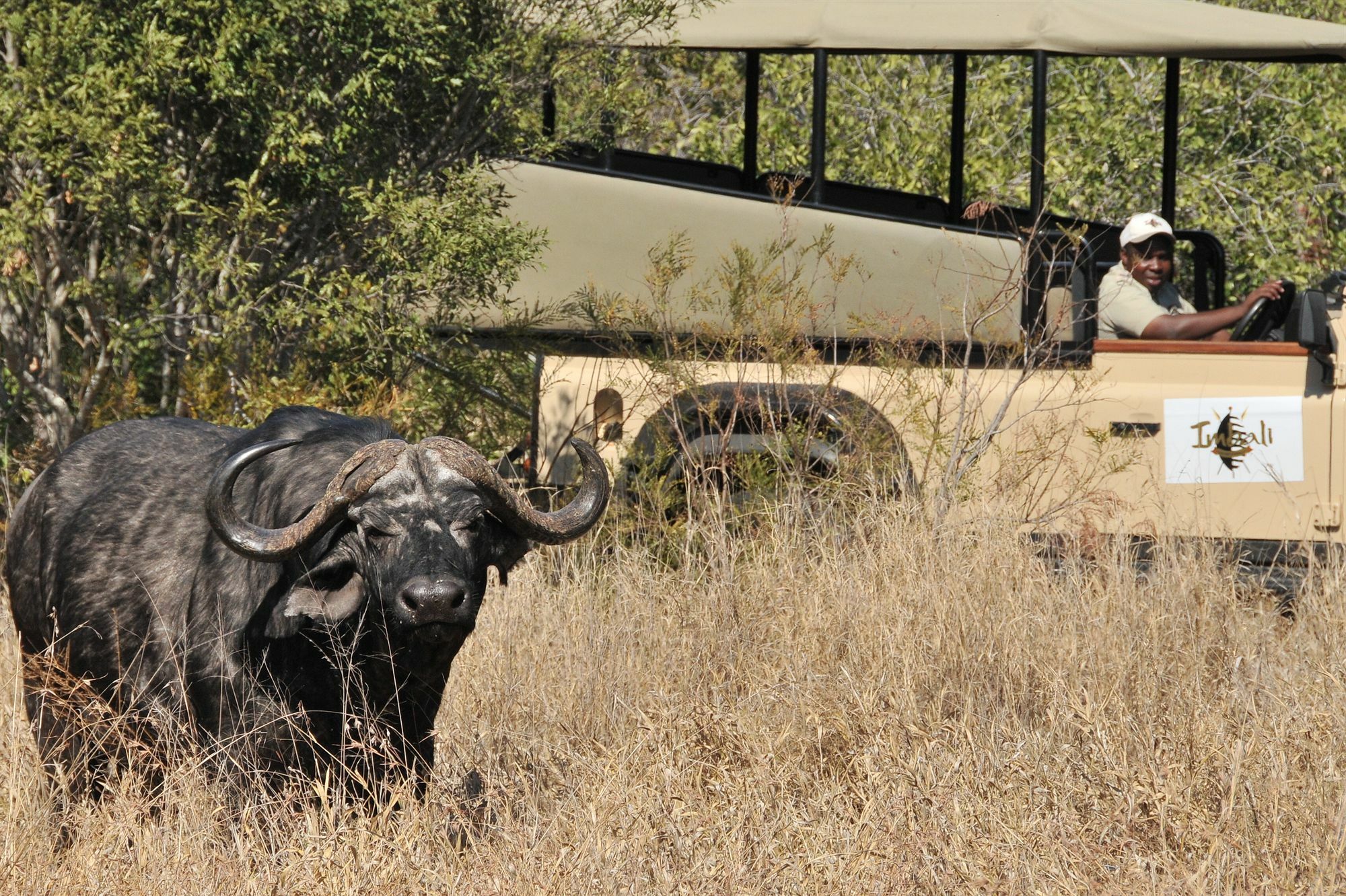 Imbali Safari Lodge Mluwati Concession Экстерьер фото